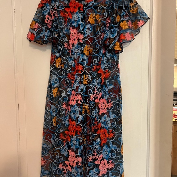 Eva Franco Floral Embroidered Dress - Picture 2 of 3